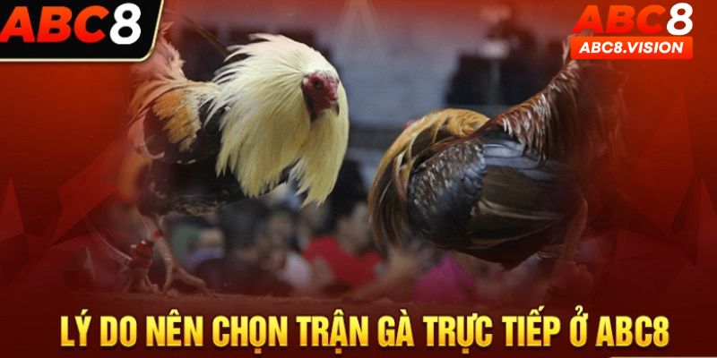 Lý do nên trải nghiệm đá gà trực tiếp tại hệ thống