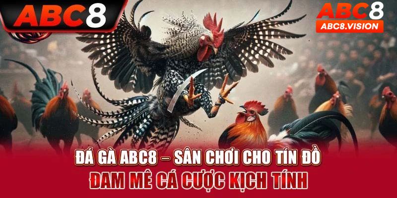 Ưu điểm vô cùng nổi trội đá gà ABC8 